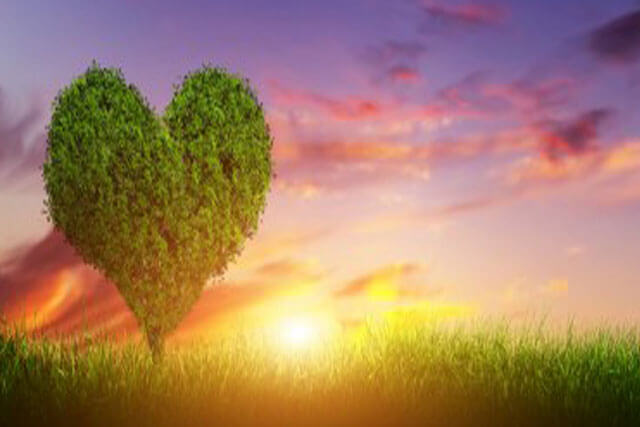 Valentine's Day Binge